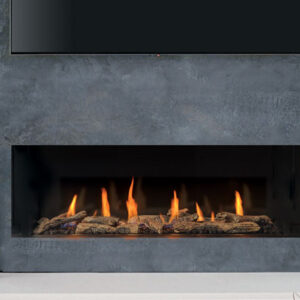 Regency® City Series™ New York View 50 Gas Fireplace